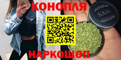индика Малгобек