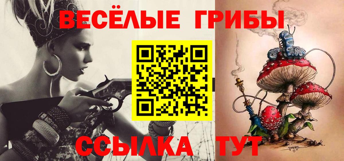 Псилоцибиновые грибы мицелий Тверь